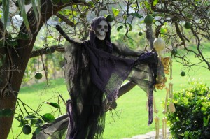 Ghostly skeleton visiting the Elliot compound (Photo: David Hopley)